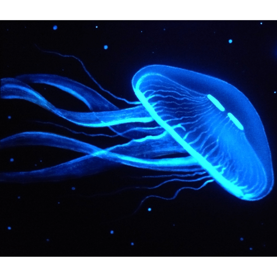 glow in the dark jellyfish on canvas painting using art n glow's neutral aqua, sky blue and white paints.