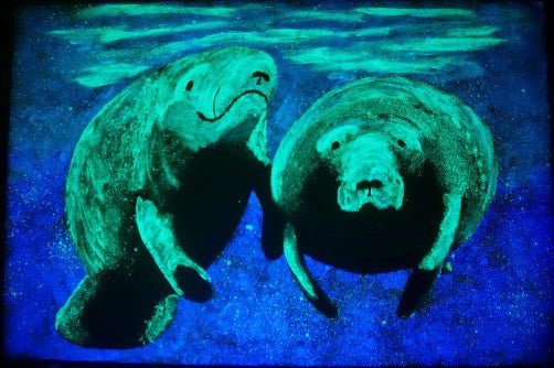 Neutral Aqua Glow Paint